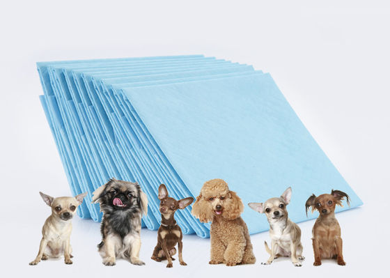 Hospital Pet Training Pads Adult Disposable Underpads ISO OEM