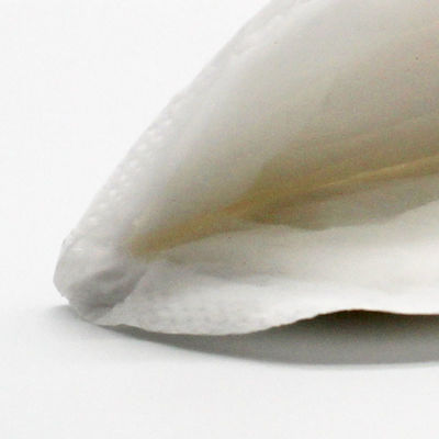 Overflow Breathable CE SGS ECO Nursing Pads Non Woven Fabric