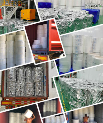 Spunbond PE Film 12g PP Spunbond Nonwoven Fabric Hygiene Industry